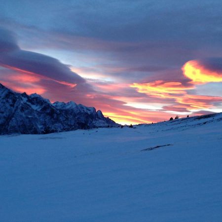 Monolocale A Passo Tonale Διαμέρισμα Passo del Tonale Εξωτερικό φωτογραφία